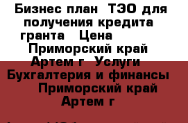 Бизнес-план, ТЭО для получения кредита, гранта › Цена ­ 3 000 - Приморский край, Артем г. Услуги » Бухгалтерия и финансы   . Приморский край,Артем г.